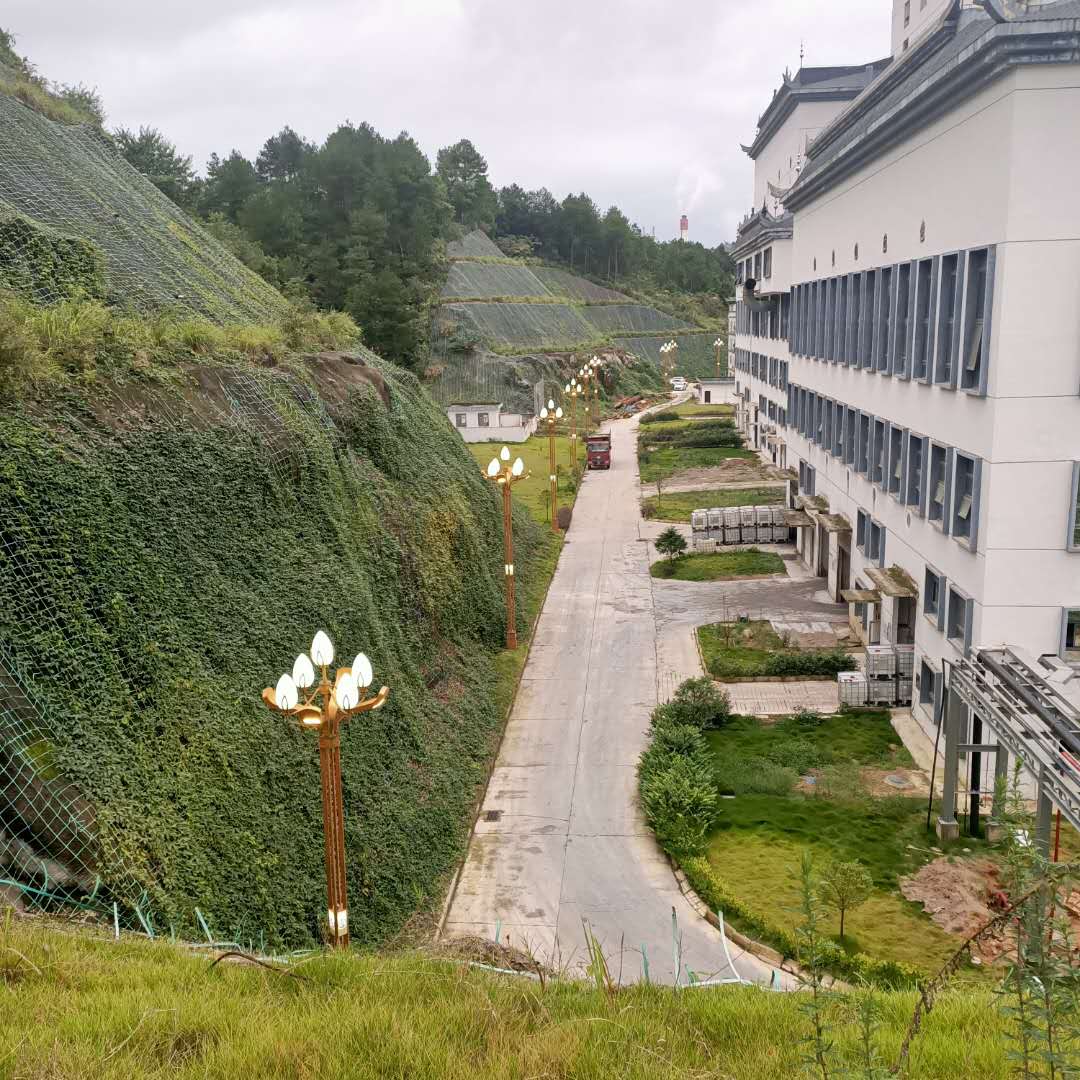 微信图片_20200925211200.jpg