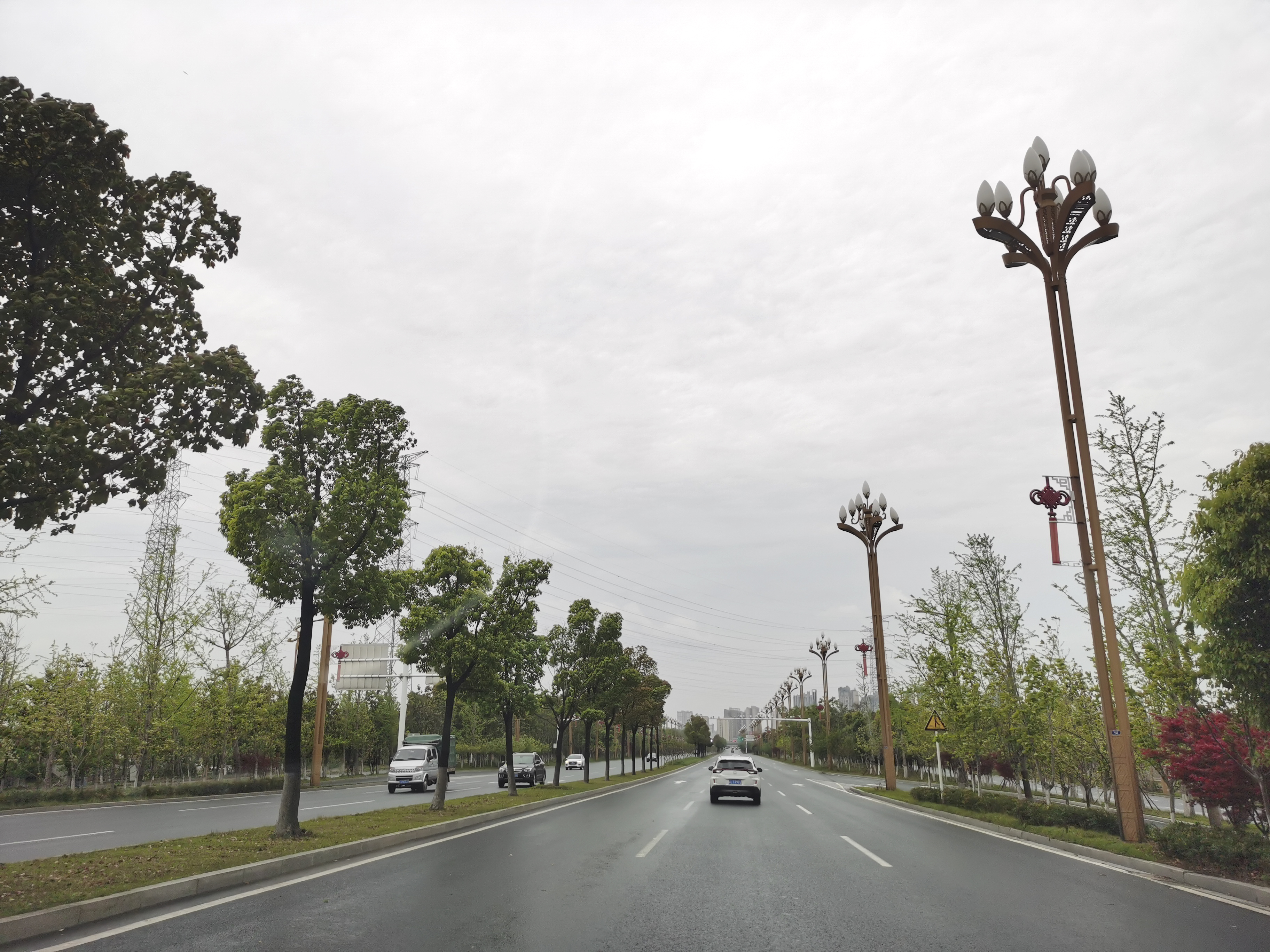 龙里玉兰灯道路亮化工程