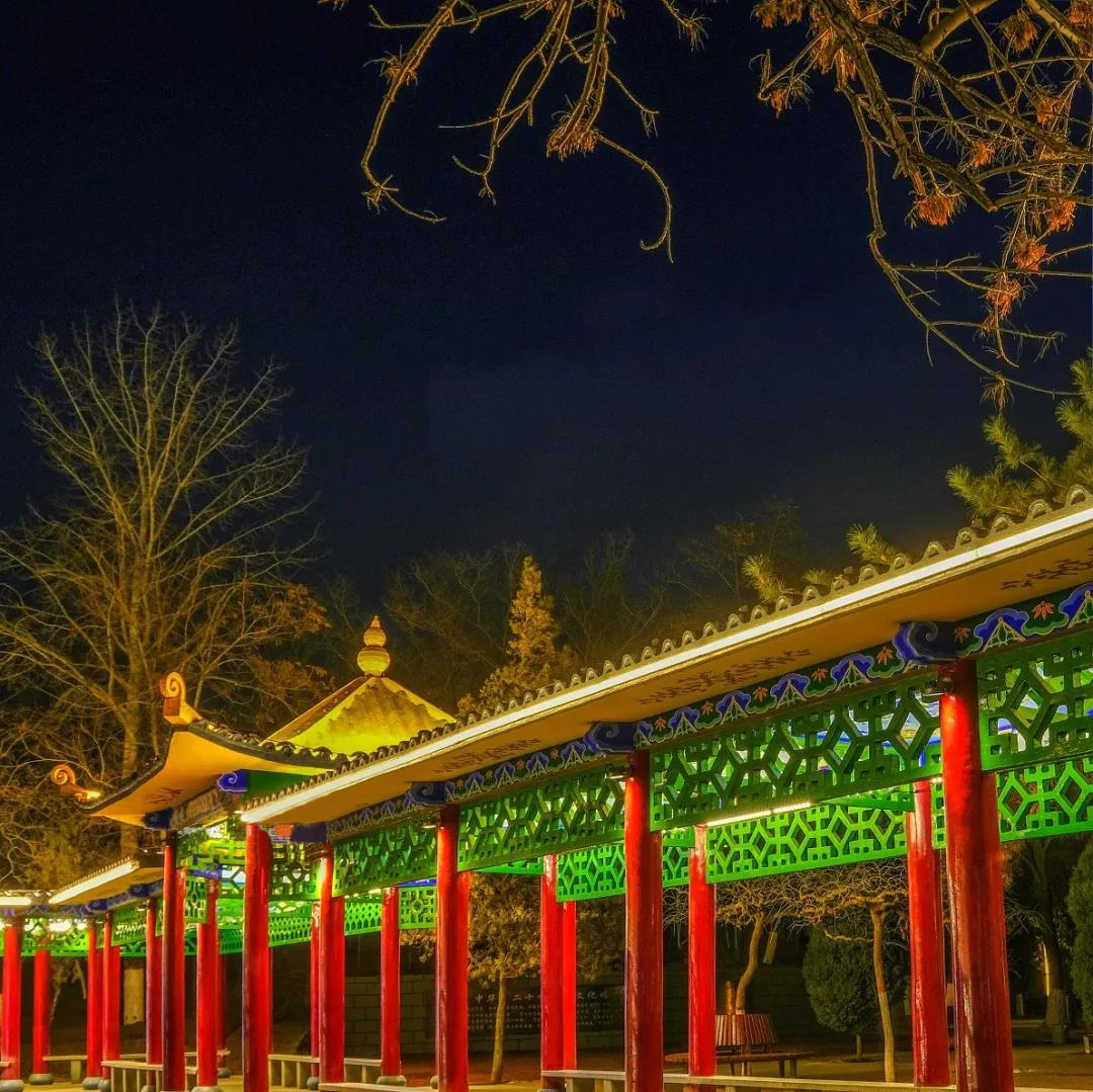 图层 88.jpg