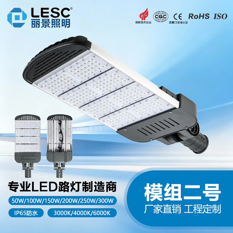 市政LEDL路灯-模组二号 