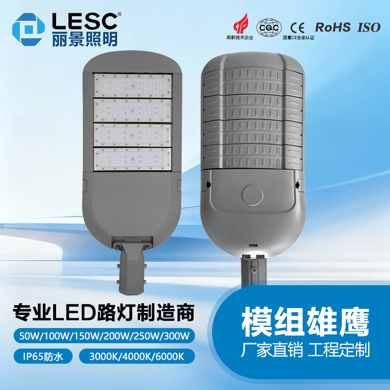 市政LEDL路灯-模组雄鹰 