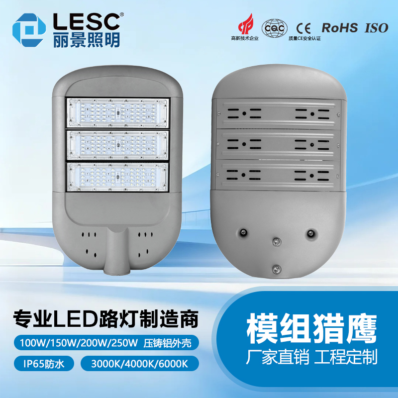 市政LEDL路灯-模组猎鹰 