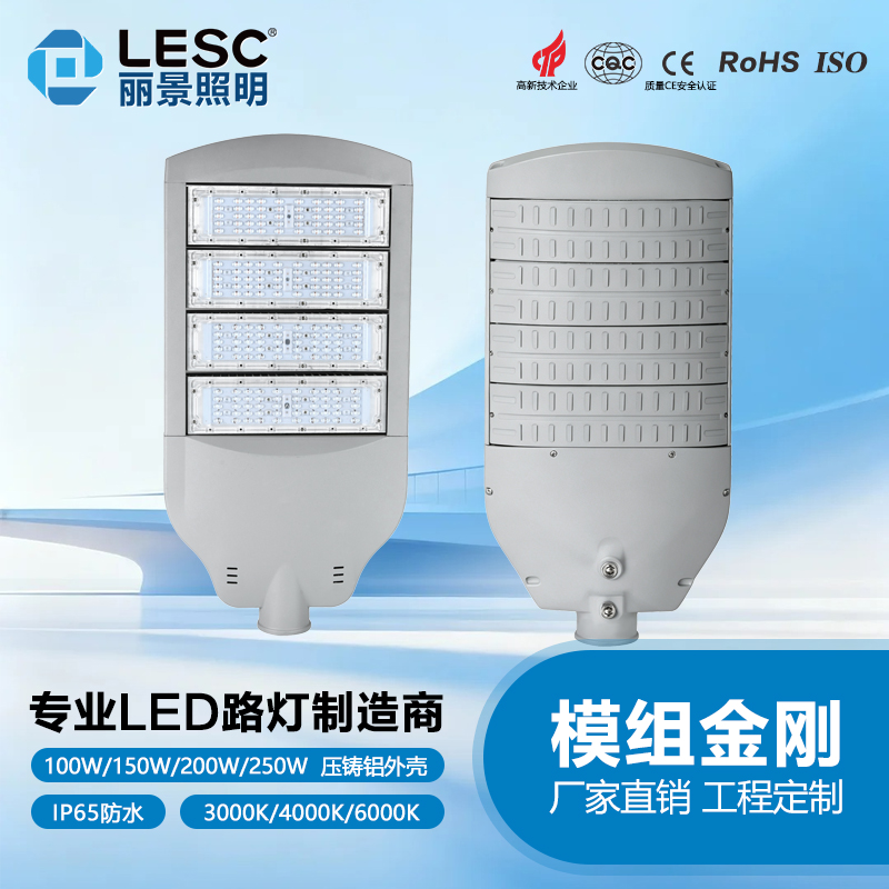市政LEDL路灯-模组金刚