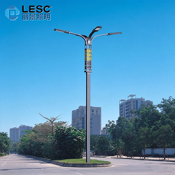 LED道路灯-LESC-DL0008