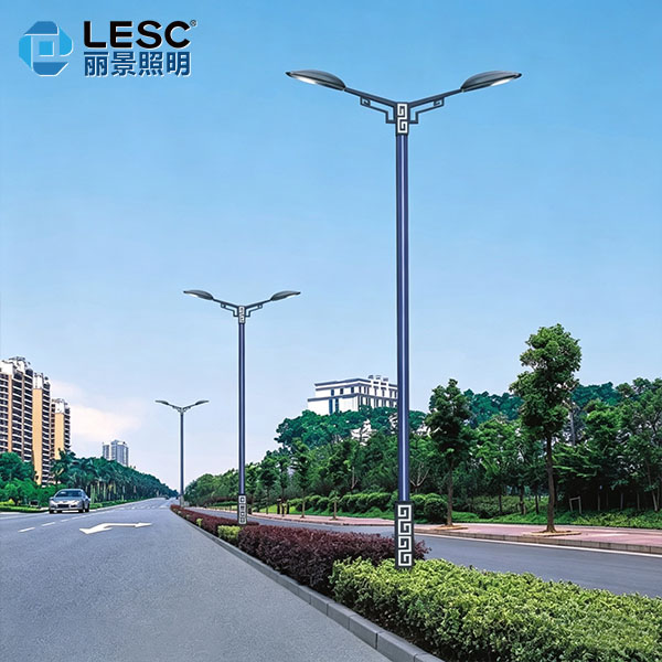 LED道路灯-LESC-DL0007