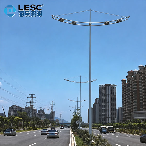 LED道路灯-LESC-DL0005