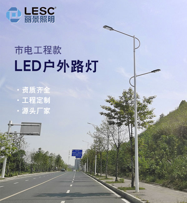 LED道路灯-LESC-DL0001