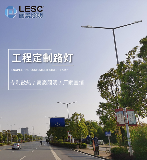 LED道路灯-LESC-DL0002