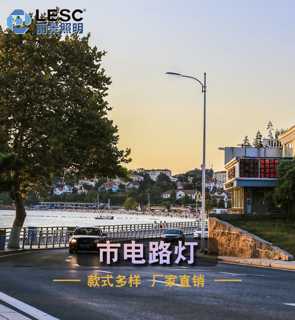 LED道路灯-LESC-DL0003