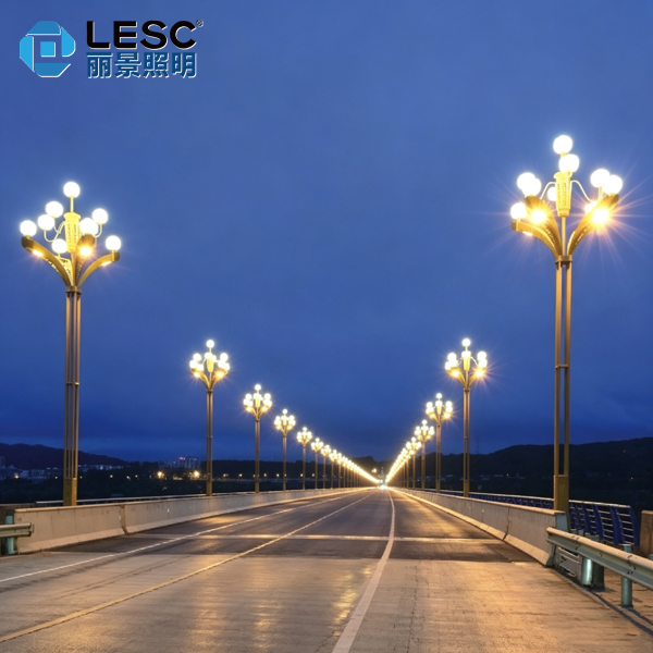 LED道路灯-中华灯-ZH008